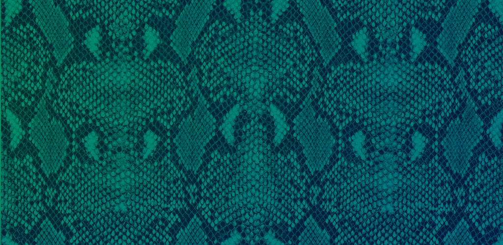 Anaconda Python scales