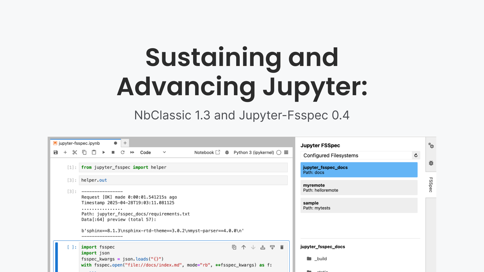 Sustaining and Advancing Jupyter