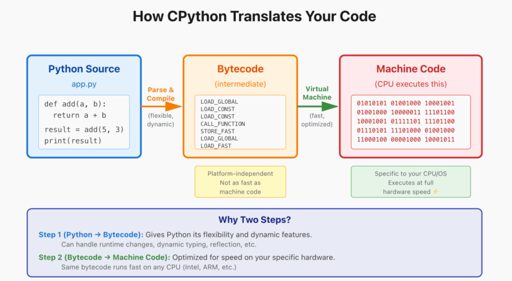 Diagram showing how CPython translates code through three stages: Python Source (app.py) is parsed and compiled into Bytecode (intermediate, platform-independent instructions like LOAD_GLOBAL and CALL_FUNCTION), then the Virtual Machine translates bytecode into Machine Code (binary instructions executed by CPU). Bottom section explains the two-step process: Step 1 gives Python flexibility and dynamic features, Step 2 optimizes for speed on specific hardware where same bytecode runs fast on any CPU architecture.