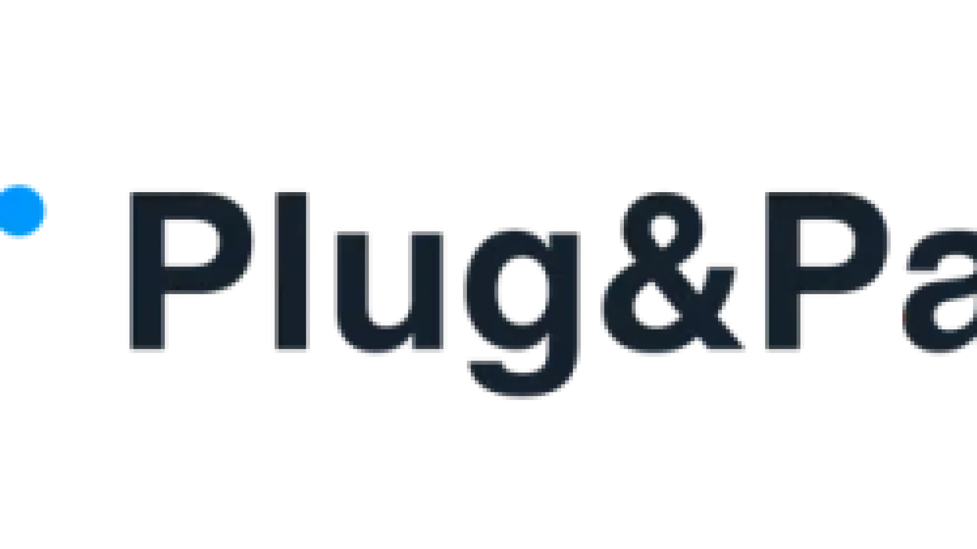 Plug and Play Logo